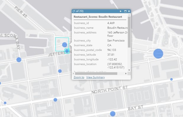 A popup in Map Viewer A popup in Map Viewer